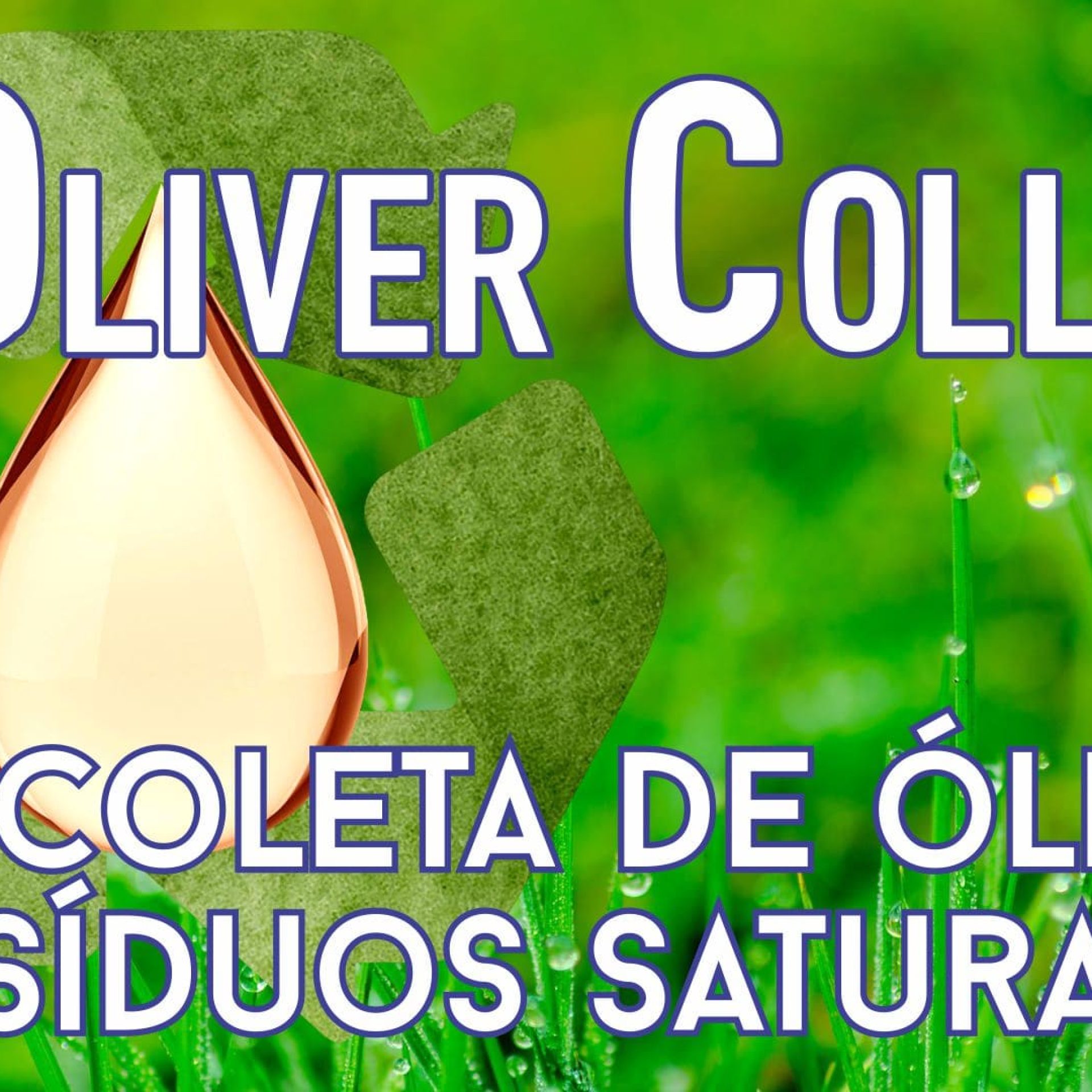 oliver collect 1