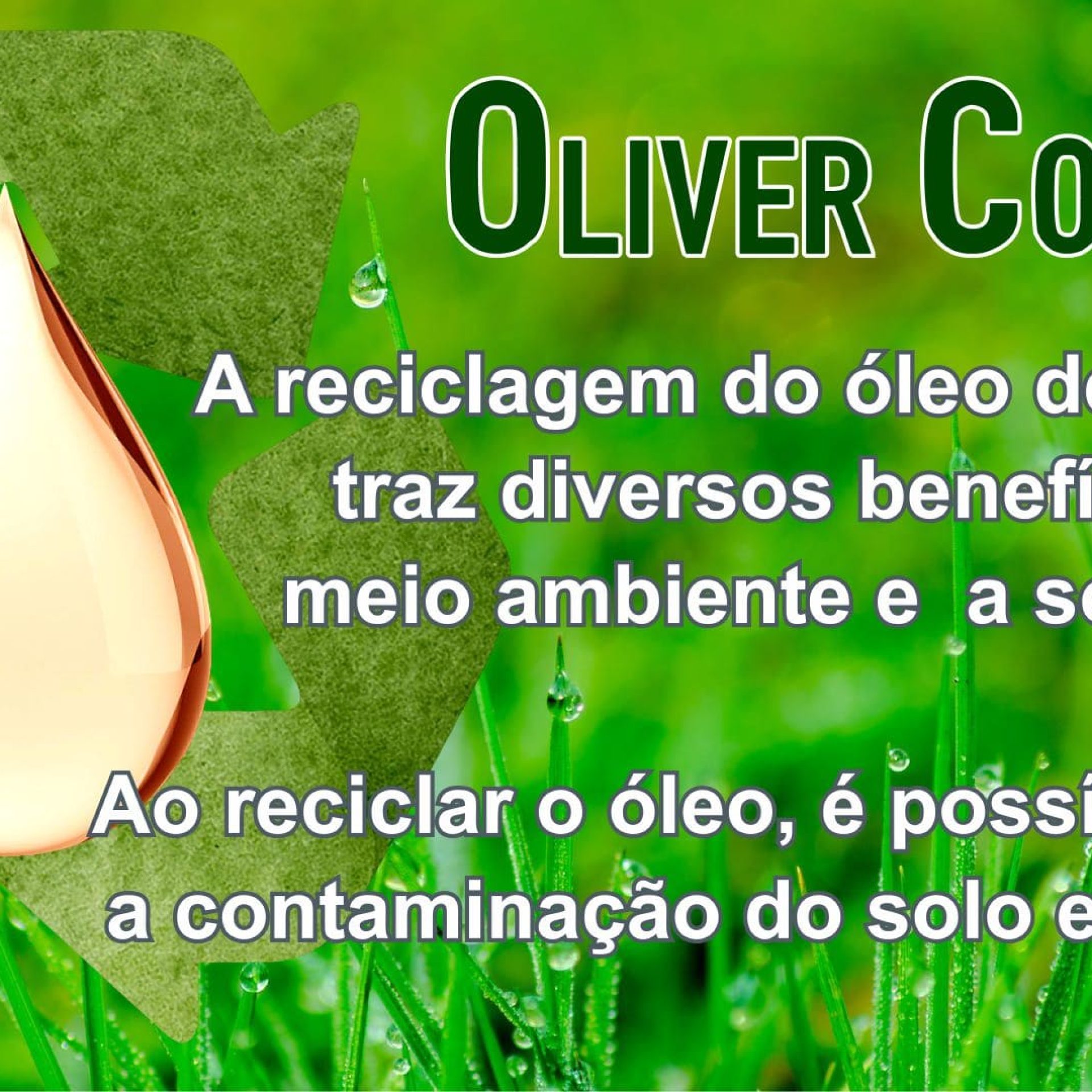 oliver collect 2