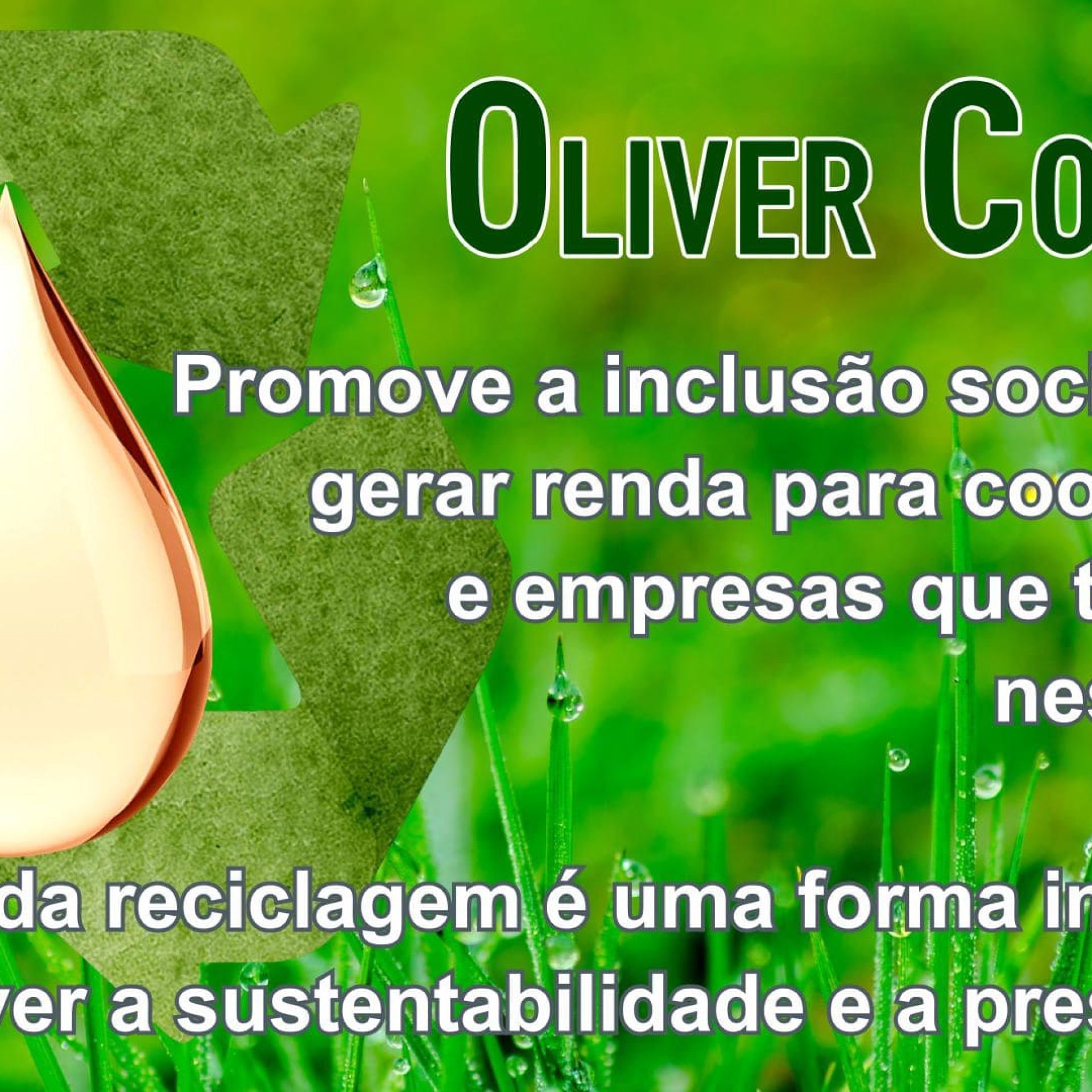 oliver collect 3